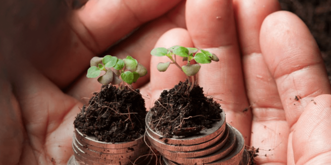 Two-Pot System: Weighing the Risks of Early Retirement Fund Withdrawals