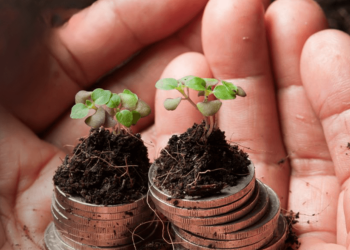 Two-Pot System: Weighing the Risks of Early Retirement Fund Withdrawals