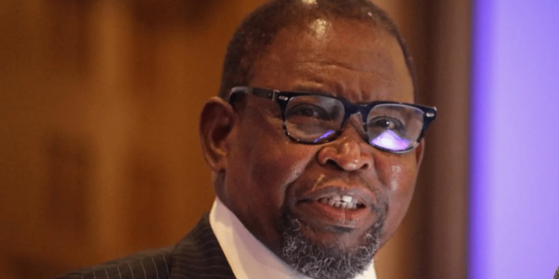 Budget Speech : Will It Bring Relief for Struggling South Africans?