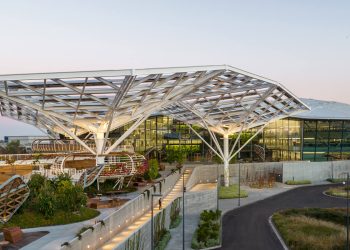 Making sense of the markets this week: November 24, 2024