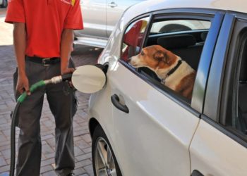 A Bleak Easter for South Africans Despite Petrol Price Cut
