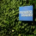 16 Best Cards from American Express